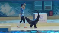 周口海洋馆·动物表演秀