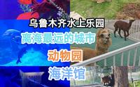 乌鲁木齐水上乐园里动物园和海洋馆
