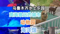 乌鲁木齐水上乐园里动物园和海洋馆