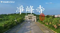 净峰寺，位于福建省泉州市惠安县净峰镇净峰山，东临净峰惠女湾，南临大港湾，北与净峰莲城卫城相遥望。#文化旅游 #泉州文旅上分 #所求皆如愿