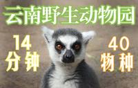 14分钟 近40个物种 带你云游云南野生动物园  这绝对是我去过体验最好的动物园！