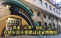 “黑龙江省地质博物馆”—恐龙、石墨、金矿……，宝藏黑龙江