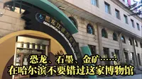 “黑龙江省地质博物馆”—恐龙、石墨、金矿……，宝藏黑龙江