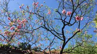 丽江古城—四方街