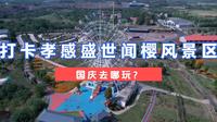 孝感附近也有好玩的亲子游乐园！打卡湖北安陆盛世闻樱景区！