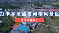 孝感附近也有好玩的亲子游乐园！打卡湖北安陆盛世闻樱景区！