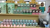 参观湘丰茶业庄园