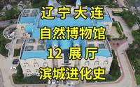 大连自然博物馆硬核攻略：逛遍4层楼12展厅，看尽滨城生命进化史