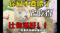 天津动物园瞎说大实话太扎心 游客笑着进去哭着出来！