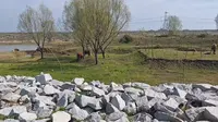 周末去哪？益阳黄家湖治愈系风景