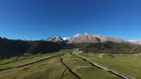 S101公路-鹿角湾-天山北麓最美高山草甸1-2026-5-30
