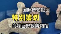 【沿黄入海看宝藏文物有多惊艳】走进菏泽巨野县博物馆