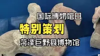 【沿黄入海看宝藏文物有多惊艳】走进菏泽巨野县博物馆