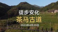 30多人徒步安化茶马古道两天一晚，体验关山峡谷之清爽，感受川岩江的原生态