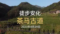 30多人徒步安化茶马古道两天一晚，体验关山峡谷之清爽，感受川岩江的原生态