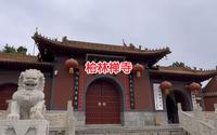 走过柏林禅寺  佛教界大名鼎鼎的存在，一句“吃茶去”回响至今…河北赵县