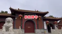 走过柏林禅寺  佛教界大名鼎鼎的存在，一句“吃茶去”回响至今…河北赵县