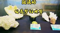 实拍厦门鼓浪屿贝壳梦幻世界，非常有趣，还有“美人鱼”游来游去