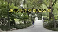 緊挨大雁塔的唐大慈恩寺遺址公園，一草一木清晰雅致令人留連忘返20210626#Vlog #生活记录 #旅游#大雁塔