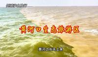黄河口生态旅游区