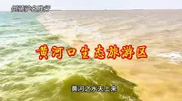 黄河口生态旅游区