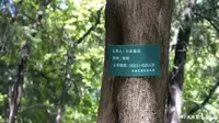 关于地坛公园“七朵金花”的故事……