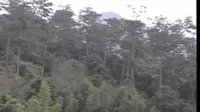 闽南西双版纳--永春牛姆林（1999年）