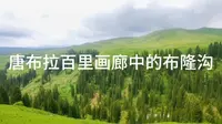 新疆自驾游：唐布拉百里画廊中的布隆沟