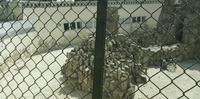 塘沽河滨公园动物园