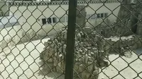 塘沽河滨公园动物园