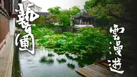 雨后无人的艺圃是我最爱的苏州园林 丨 苏州 艺圃 2024.04.07丨 DJI Pocket3 D-logm 调色画质