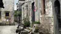 安徽屏山五一旅游vlog（无bgm纯日记版）