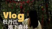 嘉昕的VLOG丨浅游牡丹江镜泊湖附近的地下森林