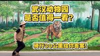武汉动物园是否值得一看？骑行30公里给你答案！顶级治愈，温暖心灵！