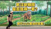 武汉动物园是否值得一看？骑行30公里给你答案！顶级治愈，温暖心灵！