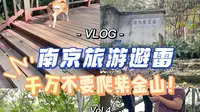 Gua‘s Vlog｜来南京千万不要爬紫金山！