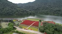 广州市石门国家森林公园-花海
