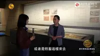 郑州商都遗址博物院：触摸3600年的文明脉搏