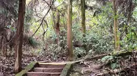 青城山徒步-月城湖到上清宫3