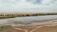 阿拉善腾格里沙漠天鹅湖