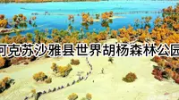 阿克苏沙雅县世界胡杨森林公园