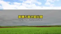富锦万亩水稻公园