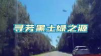 寻芳黑土绿之源 黑龙江绥化
