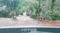 自驾前往小凹子咖啡庄园
