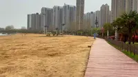 河南省漯河市郾城区，千年古城，字学宗师许慎故里