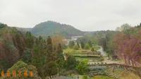 航拍贵州省植物园，已拥有蕨类植物、裸子植物、被子植物