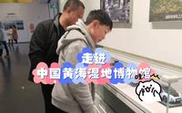 走进中国黄海湿地博物馆：感受湿地之美与生态之趣
