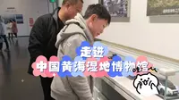 走进中国黄海湿地博物馆：感受湿地之美与生态之趣