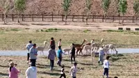 周末好去处，龙口格润富德生态农场