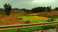 214.云南●普者黑●水陌青田